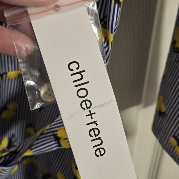 Chloe + Rene Blue Striped Dress with Lemon Pattern Belted Waist Size 1X NWT - Picture 6 of 9